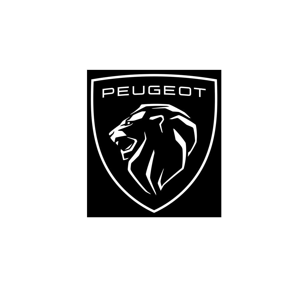 Peugeot carplay box